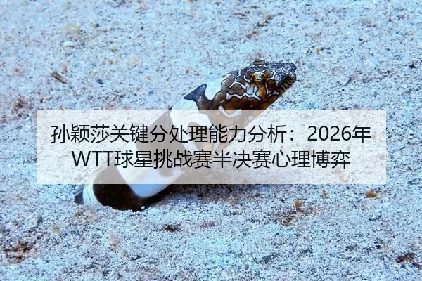 sun-ying-sha-guan-jian-fen-chu-li-neng-li-fen-xi-nian-qiu-xing-tiao-zhan-sai-ban-jue-sai-xin-li-bo-yi-3-703.jpg